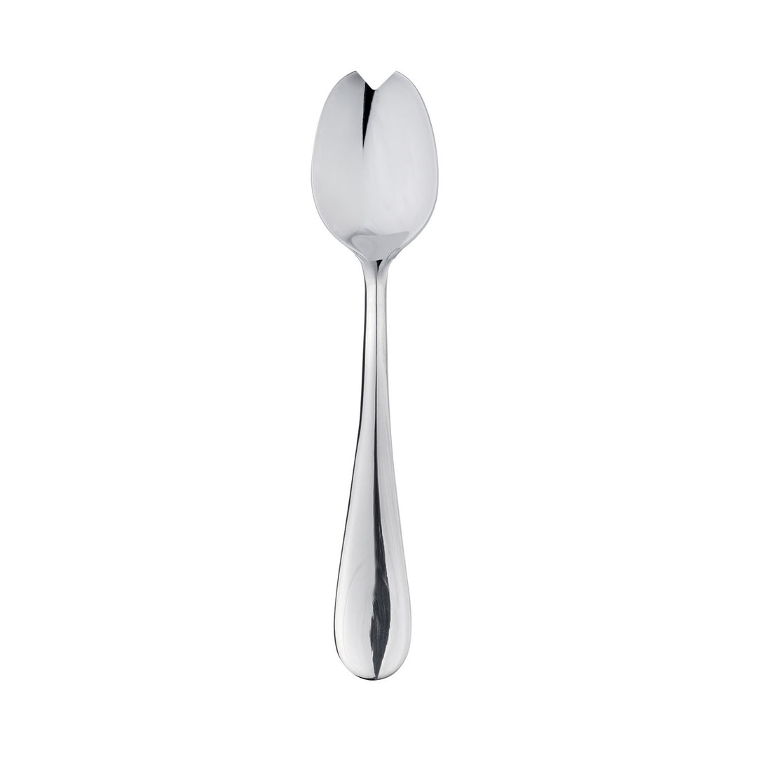 Salad Spoon